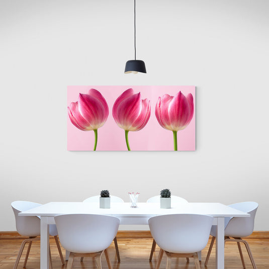 Three Tulips - Canvas Mérida Fine Print Art