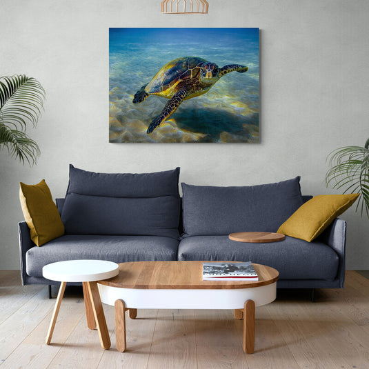 Fotografía submarina de tortuga marina en su hábitat natural