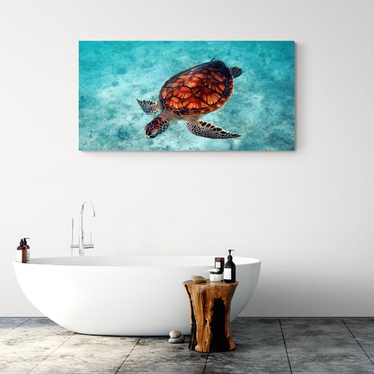 Tortuga marina en aguas turquesas