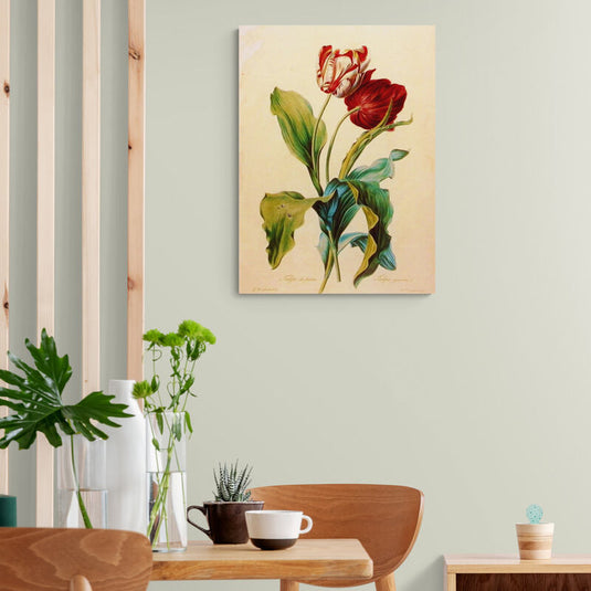 Ilustración botánica de tulipanes rojos y blancos