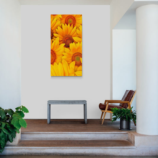 Vista cercana de girasoles en flor, colores amarillos y anaranjados