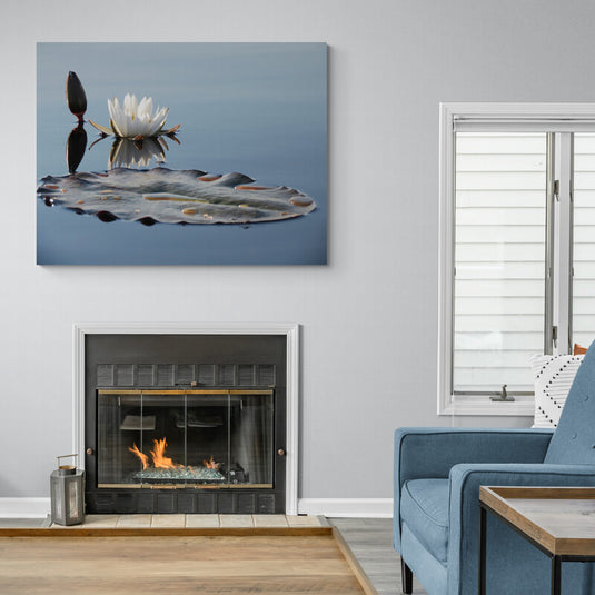 Flor de loto blanca y capullo sobre agua tranquila