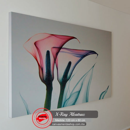 Cuadro artístico de flores alcatraz en estilo de rayos X sobre lienzo