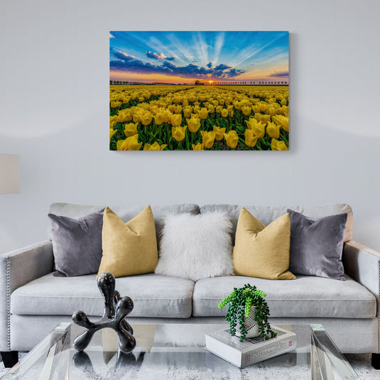 Yellow Tulip Field - Canvas Mérida Fine Print Art