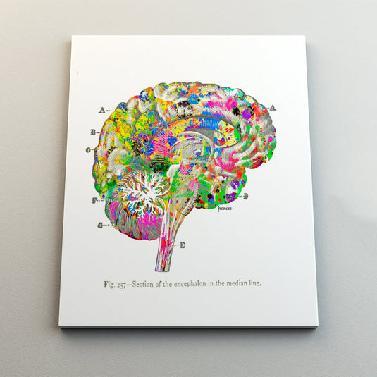 Brain watercolor #1 - Canvas Mérida Fine Print Art