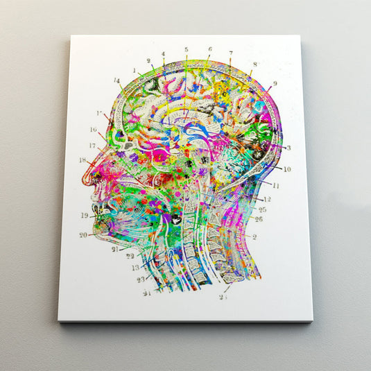 Brain watercolor #3 - Canvas Mérida Fine Print Art