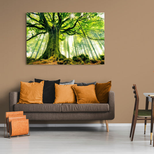 Cuadro Decorativo: Árbol Grande con Hojas Verdes en un Bosque de Troncos Delgados y Altos