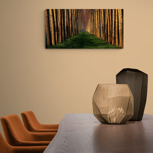 "Corredor de árboles altos con césped verde y luz dorada filtrándose entre troncos en perspectiva"