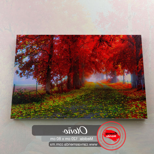 Camino Bordeado de Hojas Verdes y Rojas, con Árboles Majestuosos de Hojas Rojas