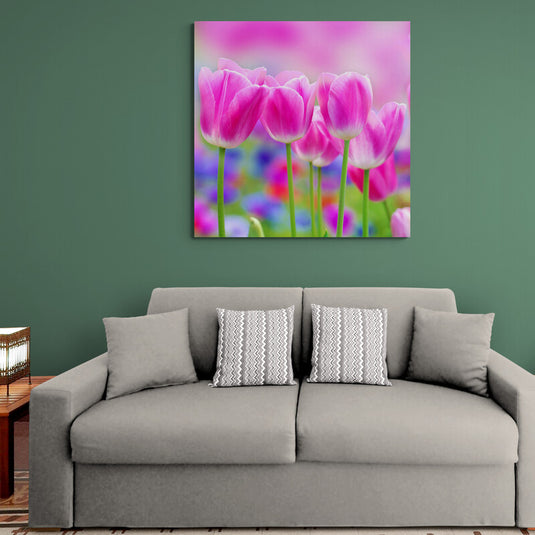 Campo de tulipanes rosas en floración