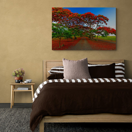 Bosque de flamboyanes rojos con suelo tapizado de hojas carmesí