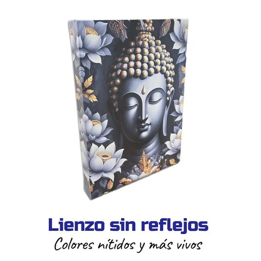  Características del lienzo sin reflejos, colores nítidos y más vivos. 