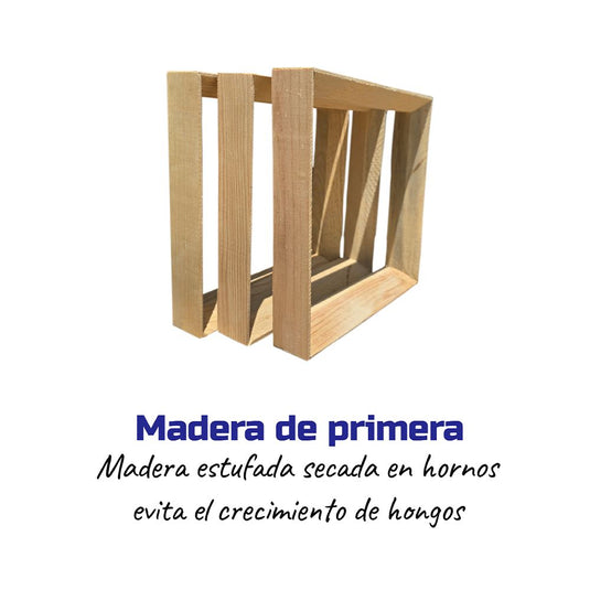 León minimalista