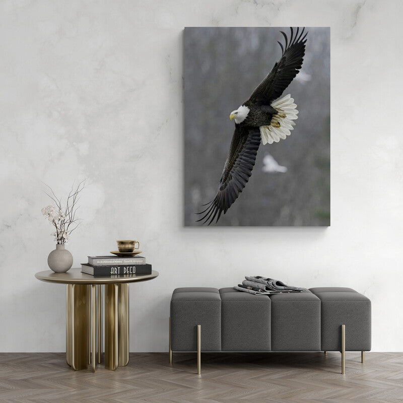 Águila alas abiertas (Entrega Inmediata) - Canvas Mérida Cuadros Decorativos