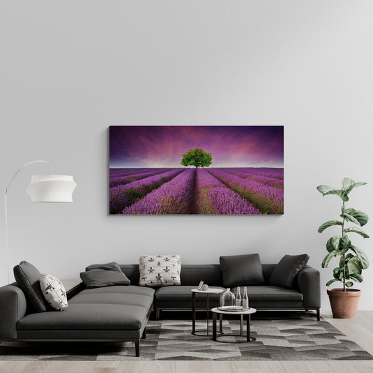 Camino de Lavanda - Canvas Mérida Cuadros Decorativos