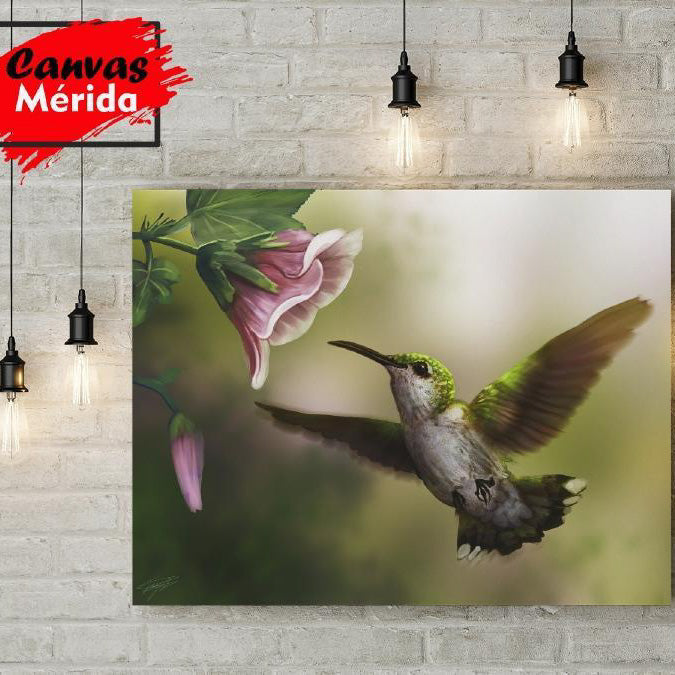 Hummingbird Flower (Outlet) - Canvas Mérida Fine Print Art