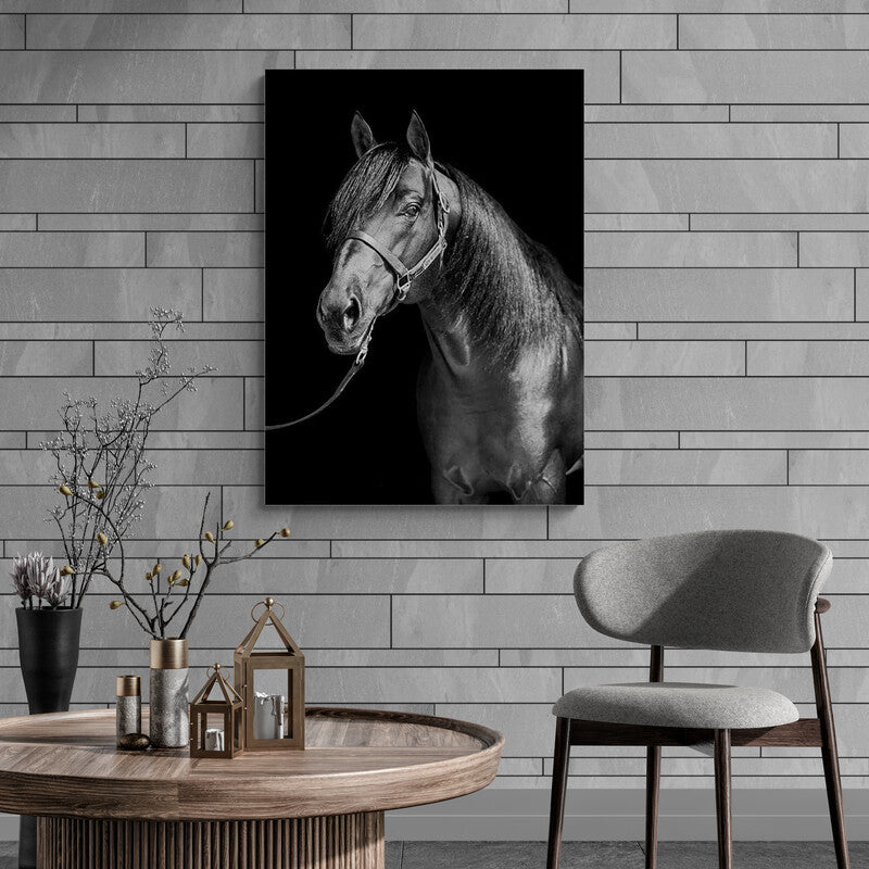 Imponente caballo - Canvas Mérida Fine Print Art