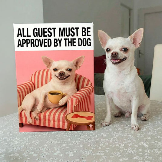 All guest must be approved by the dog