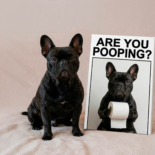 El Asistente de Baño Personalizado