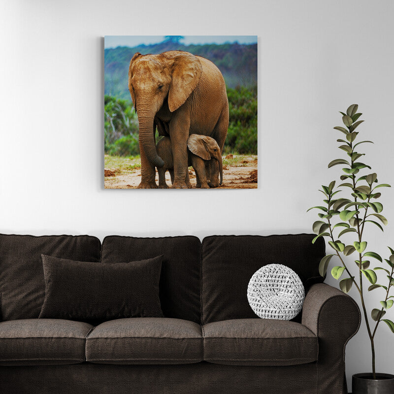Protección de elefante - Canvas Mérida Fine Print Art