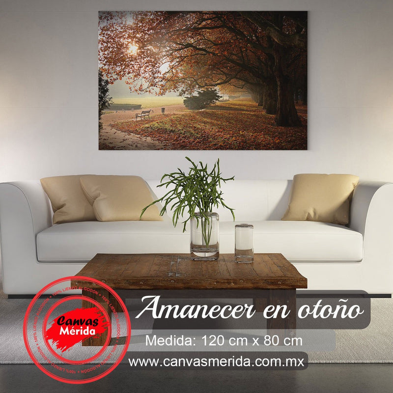 Cuadro_decorativo_paisaje_otoñal_con_grandes_árboles_y_atardecer