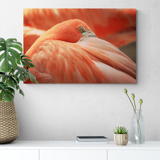 Amazing Flamingo - Canvas Mérida Fine Print Art