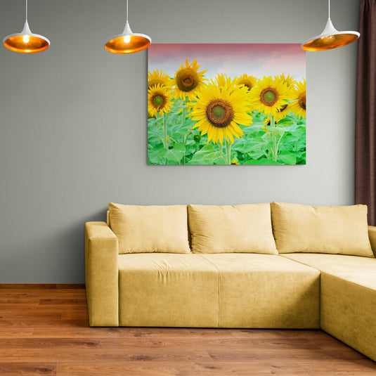 Campo de girasoles bajo cielo al amanecer