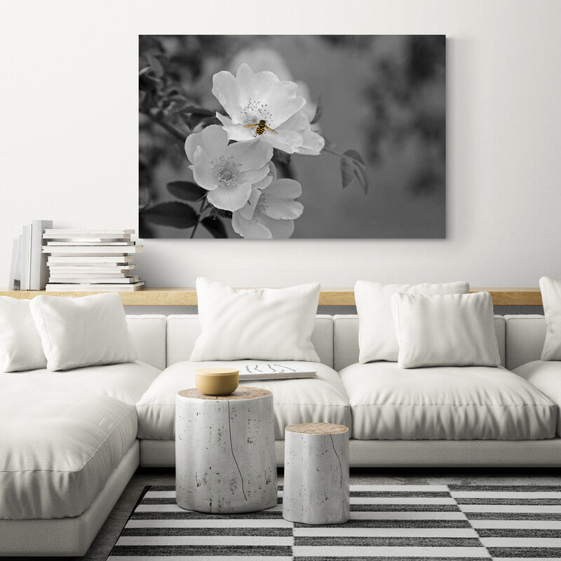 Abeja posada en flores blancas con fondo monocromático en fotografía artística en blanco y negro