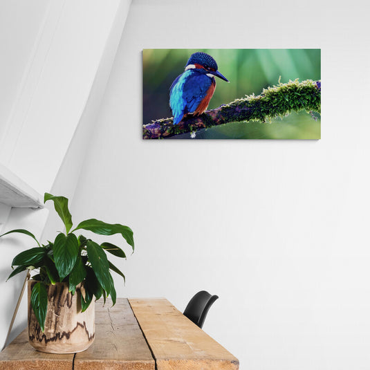 Cuadro decorativo fotográfico: Pájaro de colores vivos en tronco con hojas verdes sobre fondo verde desenfocado