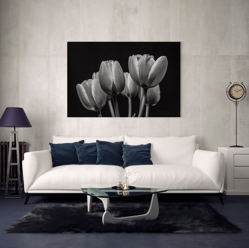 Fotografía artística en blanco y negro de tulipanes con enfoque en texturas y contrastes de luz y sombra