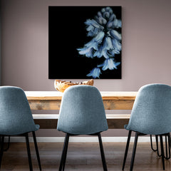 Flor azul pálido en fotografía de alto contraste con fondo negro