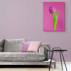 Closeup Pink Pulip - Canvas Mérida Fine Print Art