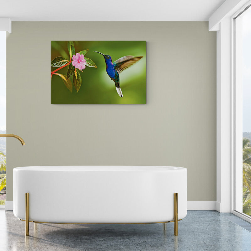 Colibrí azul-verde en vuelo con cola blanca cerca de flor rosa sobre fondo verde en cuadro decorativo.