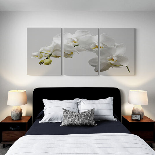 Tríptico de orquídeas: rama floral extendida sobre tres cuadros decorativos con fondo claro