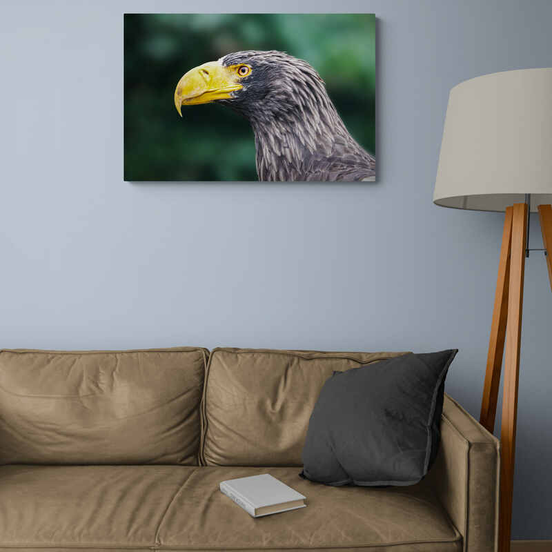 Cuadro fotográfico de águila majestuosa con plumaje gris y pico amarillo en fondo desenfocado