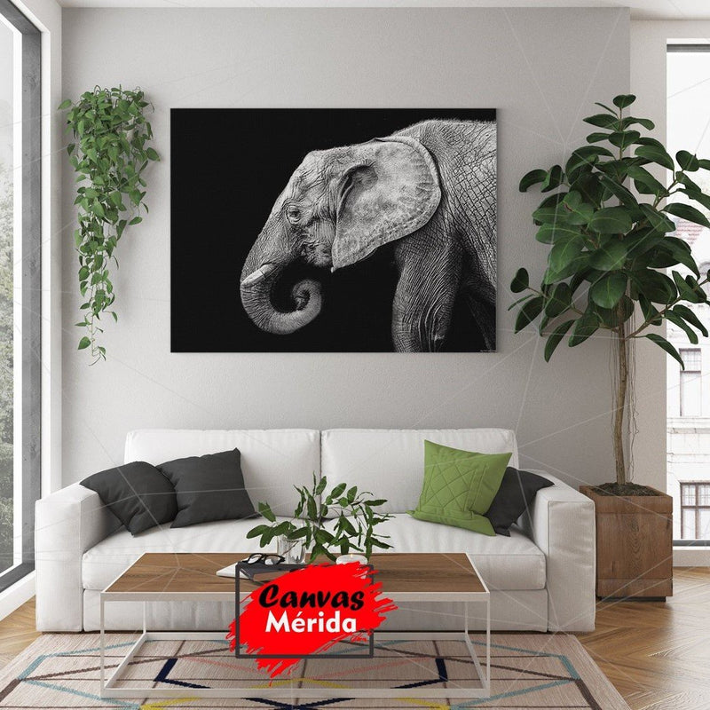 Elefante Fotografía - Canvas Mérida Fine Print Art