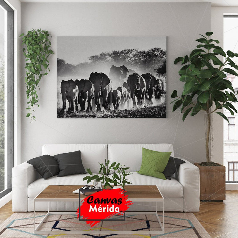 Elefantes Fotografía en Grupo - Canvas Mérida Fine Print Art