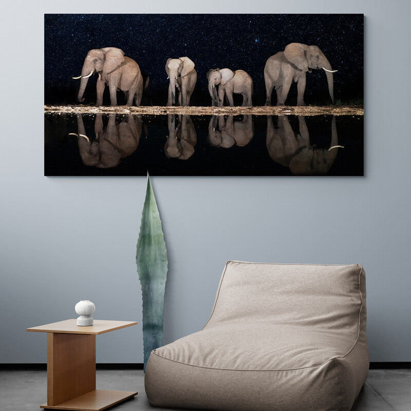 Elephants in Starry Sky - Canvas Mérida Fine Print Art