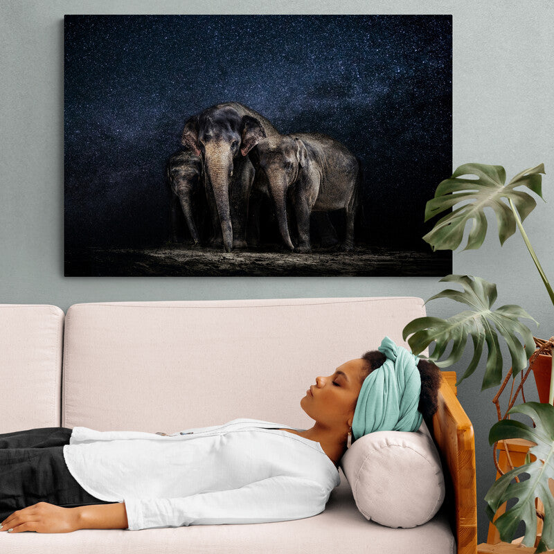 Elephants in the starry night - Canvas Mérida Fine Print Art