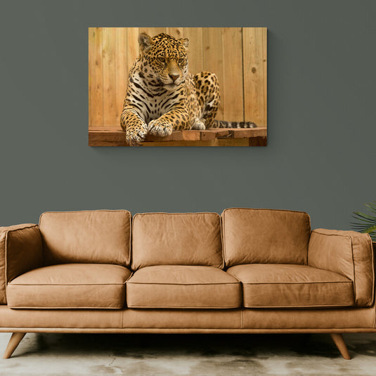  Pintura de leopardo en reposo