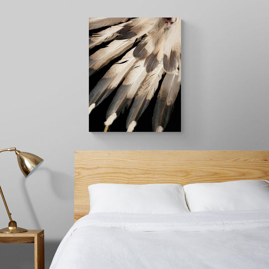 Detalle fotográfico de plumas en tonos de gris y marrón con sombras suaves