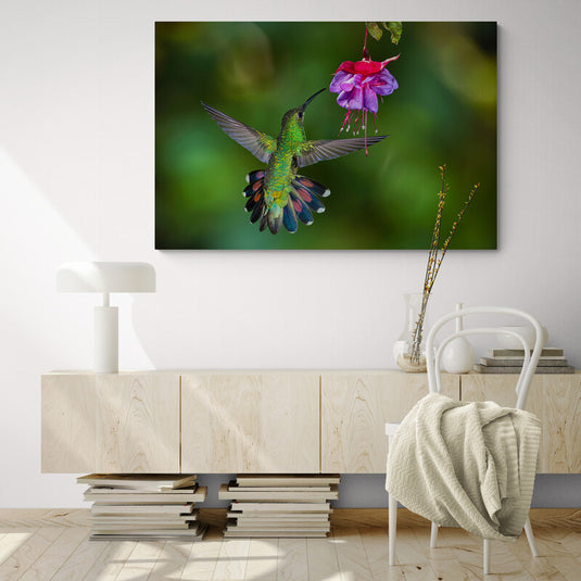 Cuadro Decorativo con Colibrí en Vuelo sobre Flor Morada y Verde Desenfocado