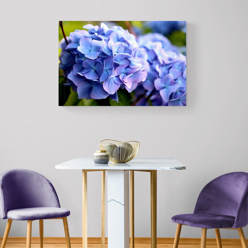 Fotografía de hortensias en tonos de azul y lila, destacando su textura y color