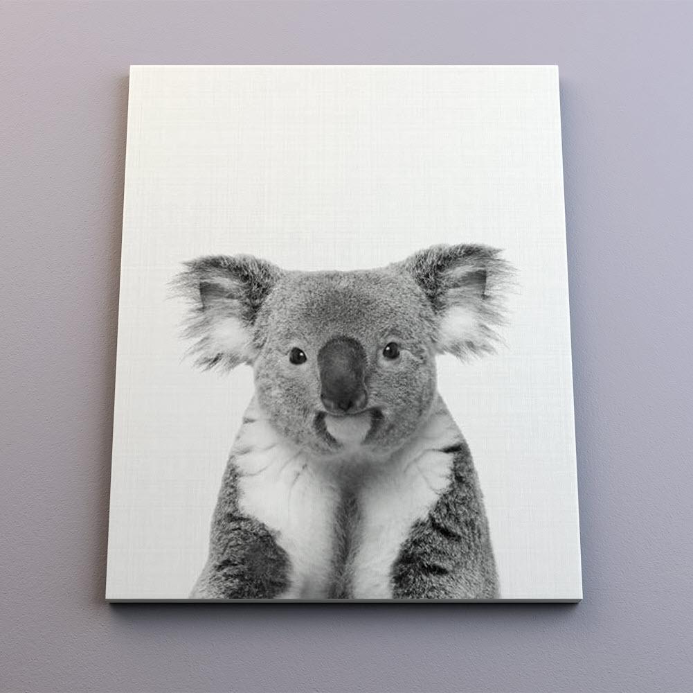 Retrato monocromático de un joven koala con expresión curiosa y serena