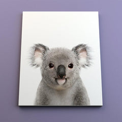 Primer plano de koala con expresión serena sobre fondo neutro