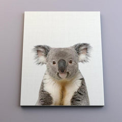 Retrato de joven koala en tonos suaves