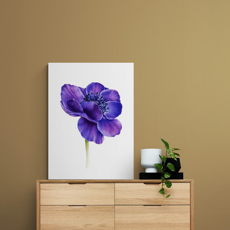 Detalle de flor anémona en tonos de púrpura y azul con pétalos texturizados sobre fondo blanco