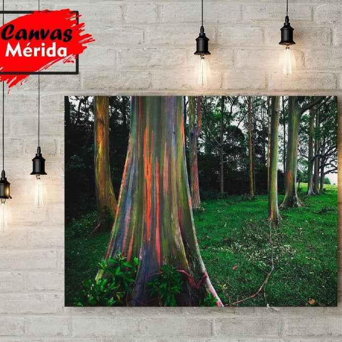 Bosque encantador con troncos destacados por reflejos del sol en colores naranja, morado, azul y verde.