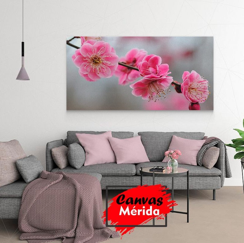 Fotografía decorativa de rama de cerezo en floración en cuadro