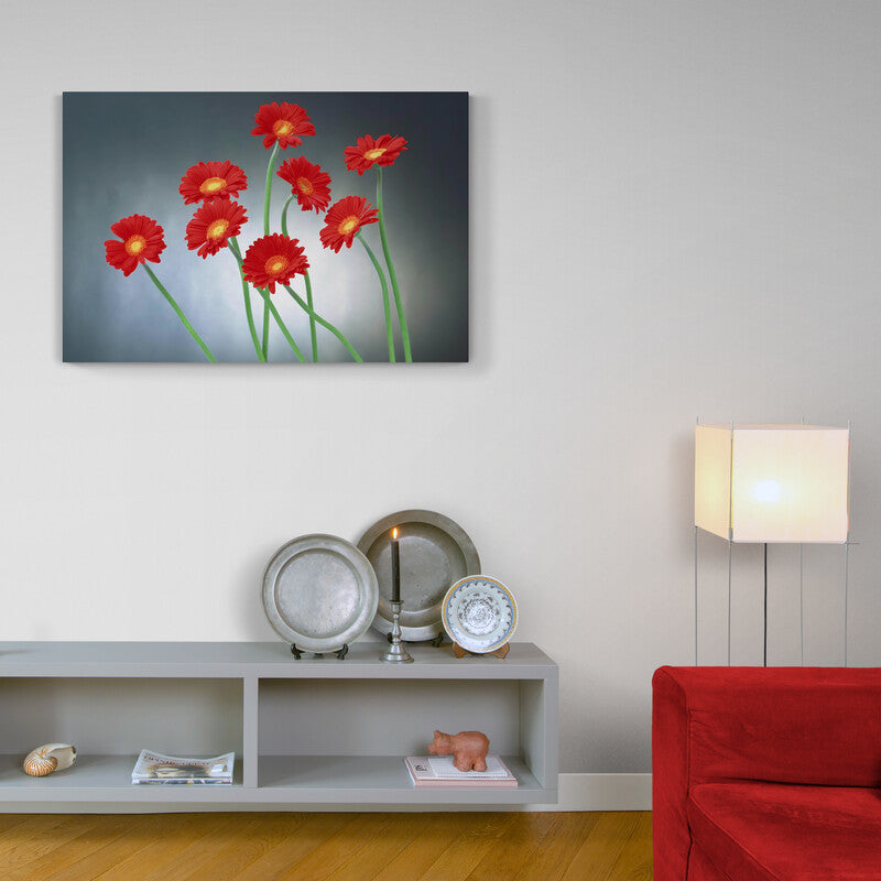 Red Daisies - Canvas Mérida Fine Print Art